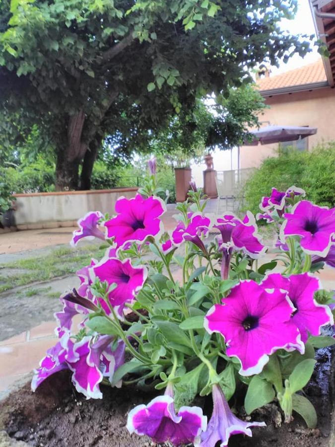La Corte Di Bafe B&B "Slow Life" Цафферана-Этнея Экстерьер фото